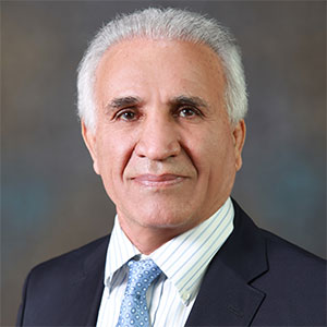 Meet Our Real Estate Advisors 104 Bijan Kavandi
