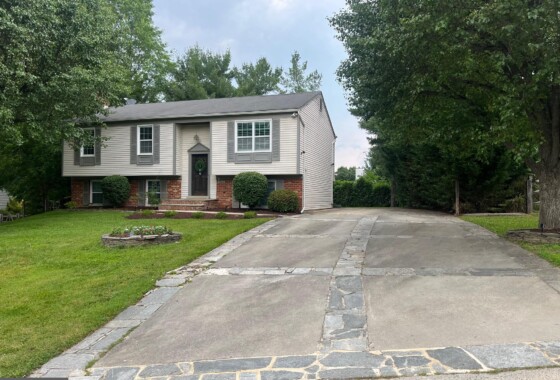 8805 Ivory Gull Court 6 MDMC2186116