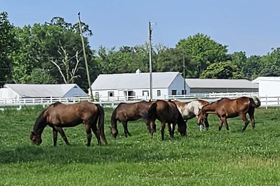 Southern Anne Arundel Lifestyle Southern Anne Arundel Lifestyle